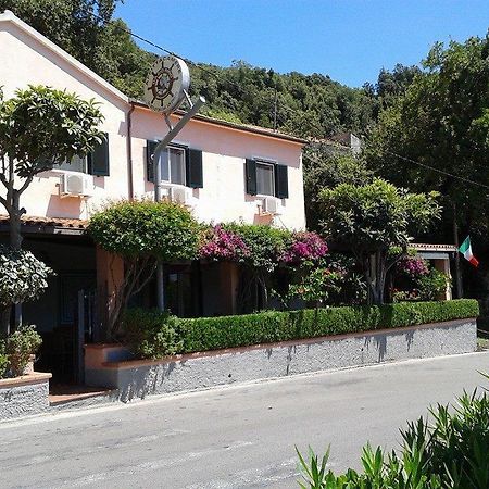 Da Zio Pino Hotel Maratea Eksteriør billede