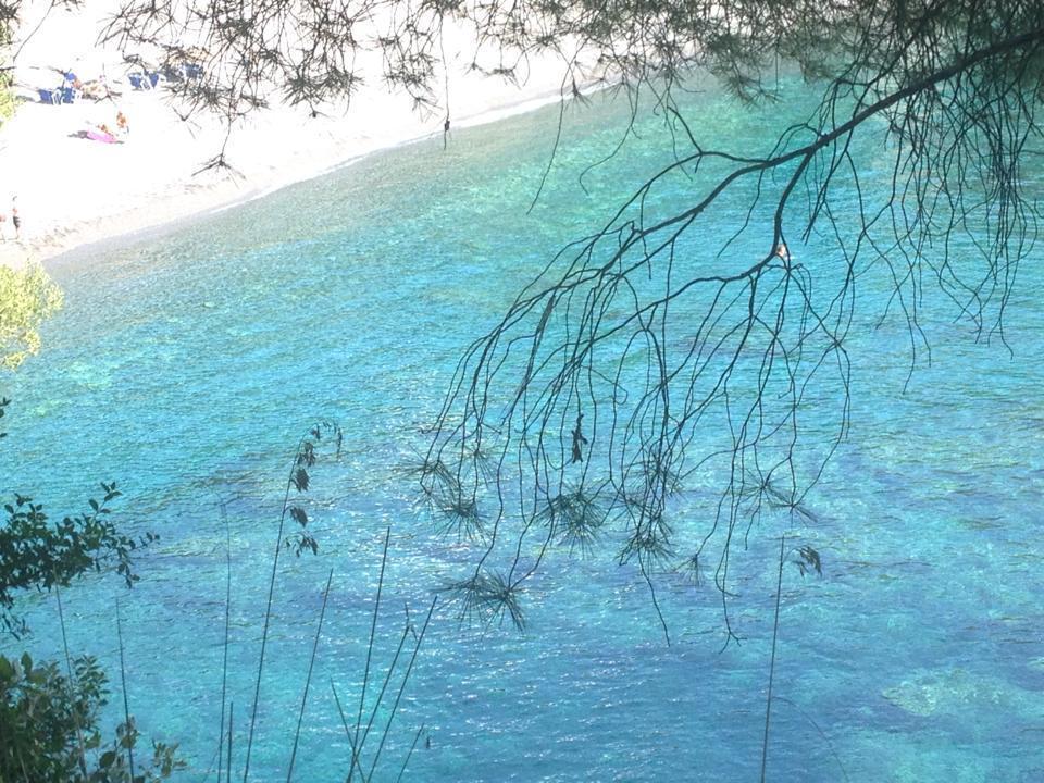 Da Zio Pino Hotel Maratea Eksteriør billede