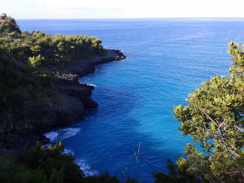 Da Zio Pino Hotel Maratea Eksteriør billede